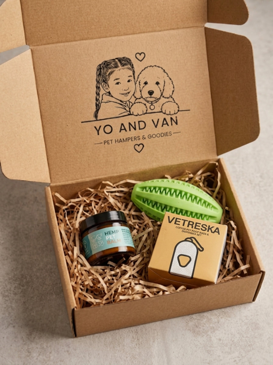 The Paws & Play Essentials Hamper